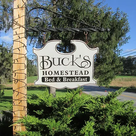 Buck'S Homestead B&B-2